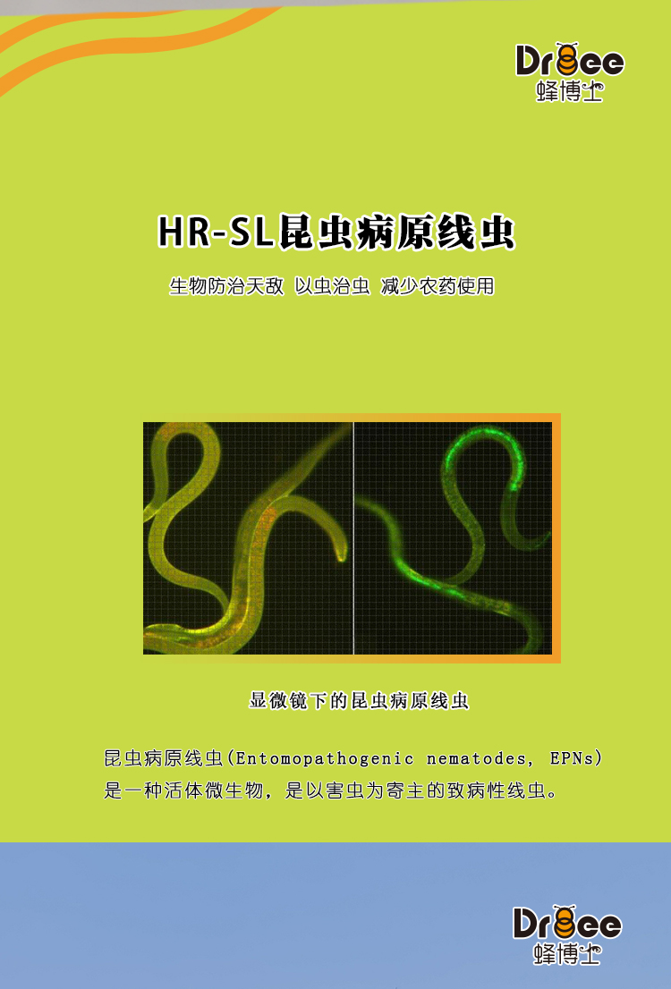 HR-SL-_02.jpg