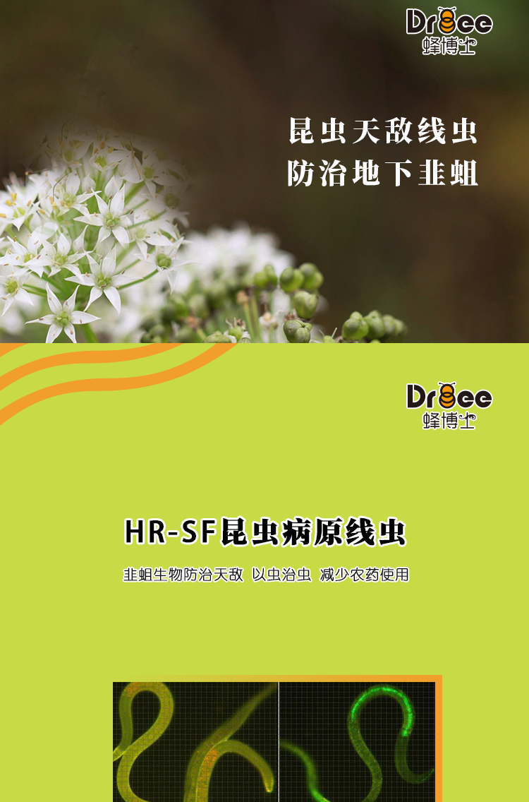 HR-SF-_02.png